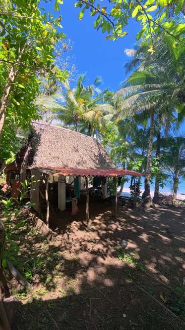 Una cabaña rústica con techo de paja se alza rodeada de una exuberante vegetación y palmeras, con la luz del sol filtrándose entre las ramas y una vista de la playa y el mar más allá.