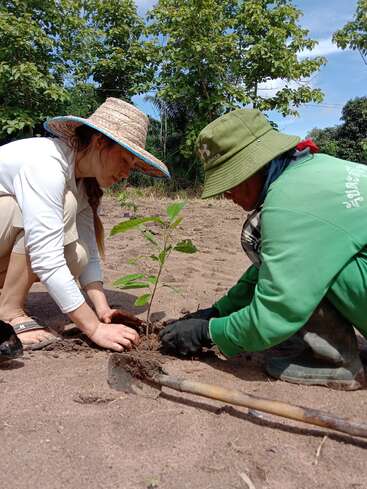 Duas pessoas, usando chapéus e roupas para atividades ao ar livre, estão trabalhando juntas para plantar uma pequena muda de árvore em um solo arenoso, cercado por folhagem verde e luz solar natural.