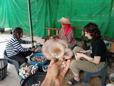The image depicts three individuals sitting on plastic chairs, engaged in peeling mushrooms. The person in the foreground holds a mushroom in their hand.