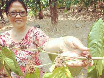 A smiling woman wearing glasses holds a leafy branch with brown clusters and a single fruit, standing outdoors in a sunlit, wooded garden area.