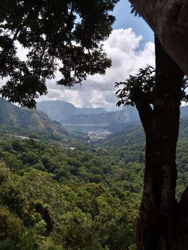Ein üppiger grüner Wald erstreckt sich in Richtung der entfernten Berge und einer kleinen Stadt, die von den Ästen der Bäume eingerahmt wird. Der blaue Himmel, die weißen Wolken und das Sonnenlicht schaffen eine friedliche, malerische Landschaft.