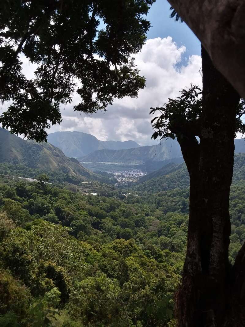 Lush green forest stretches toward distant mountains and a small town, framed by tree branches. Blue sky, white clouds, and sunlight create a peaceful, scenic landscape.