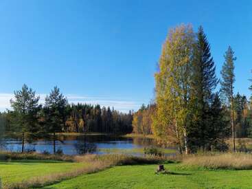 A clear blue sky stretches above a serene lake, surrounded by tall trees with autumn foliage, green grass, and tranquil reflections on the calm water.