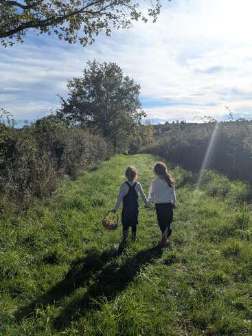 Two young girls walk hand in hand down a sunlit grassy path, one carrying a basket, surrounded by trees and nature, under a bright blue sky.