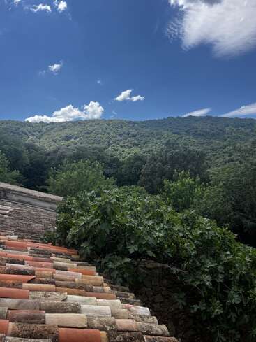 Un colorido tejado en primer plano, rodeado de exuberante vegetación y frondosos árboles, con colinas cubiertas de bosques y un cielo azul brillante con nubes en lo alto.