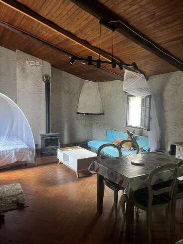 Acogedora habitación rústica con techo de madera, paredes de piedra, estufa de leña y muebles sencillos. Un perro se relaja en un sofá azul cerca de una ventana con mosquitera.
