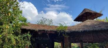 Uma cabana tradicional com telhado de palha fica sob um céu azul brilhante e nuvens fofas, cercada por plantas verdes exuberantes, árvores e beleza natural.