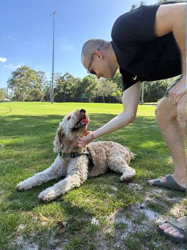 Un homme portant des lunettes de soleil s'agenouille et caresse un chien heureux au poil frisé, couché sur l'herbe verte d'un parc ensoleillé avec des arbres et un ciel bleu.