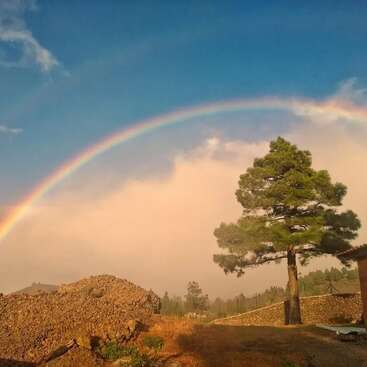 L'image représente un paysage serein avec un arc-en-ciel vibrant, un arbre majestueux et un tas de terre, sur fond de ciel bleu avec quelques nuages ondulants.
