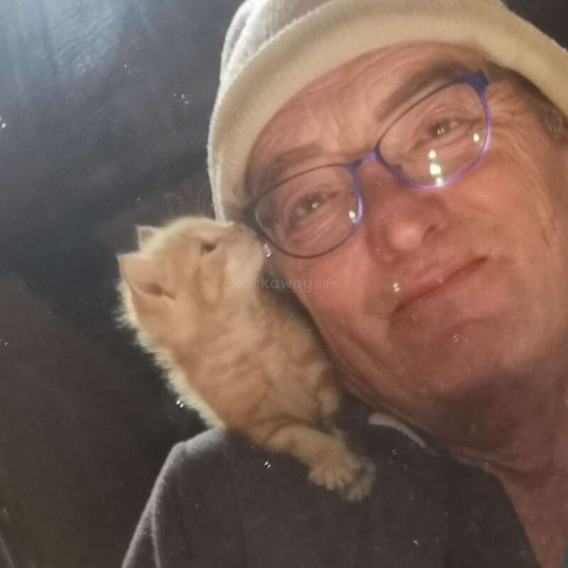 Un homme portant des lunettes et un bonnet sourit tandis qu'un petit chaton orange se blottit contre son épaule, créant ainsi un moment de réconfort et d'affection.