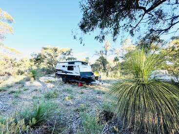 A camper trailer is parked in a bright, open bushland area surrounded by tall trees, shrubs, and grass. The scene looks peaceful and remote.