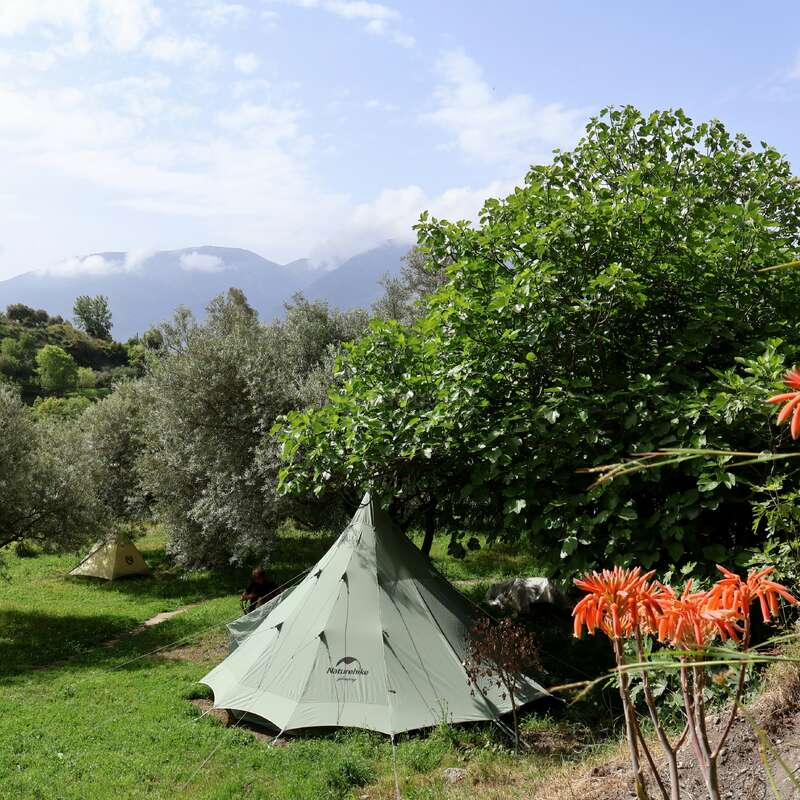 In einer üppig grünen Landschaft stehen zwei Zelte. Bäume, blühende Pflanzen und Berge im Hintergrund schaffen unter blauem Himmel eine friedliche, natürliche Campingatmosphäre.