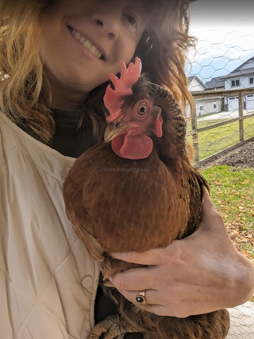 Eine lächelnde Frau hält liebevoll ein braunes Huhn in ihren Armen. Sie befinden sich im Freien in der Nähe eines Drahtzauns, im Hintergrund sind Häuser und Wiesen zu sehen.