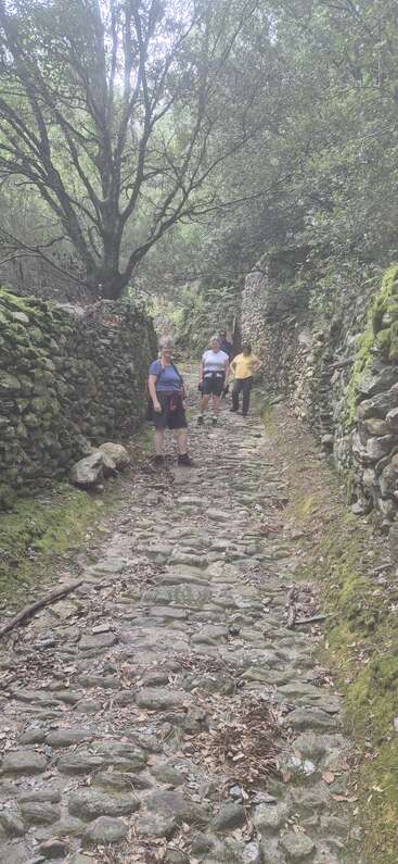 Three people walk along an old, mossy stone path surrounded by green trees and ancient stone walls, enjoying nature and each other's company on a tranquil day.