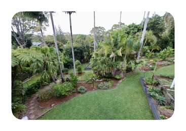 Um jardim exuberante e verde no quintal com palmeiras altas, gramados bem cuidados, caminhos, canteiros de flores e folhagem densa. Parece tranquilo, tropical e bem cuidado.
