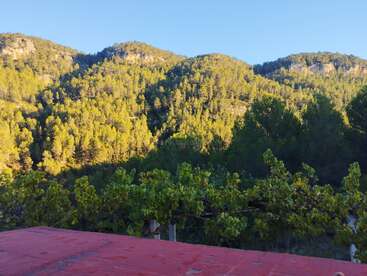 The image depicts a serene landscape featuring a red roofed building in the foreground, with lush green trees and hills in the background under a clear blue sky.