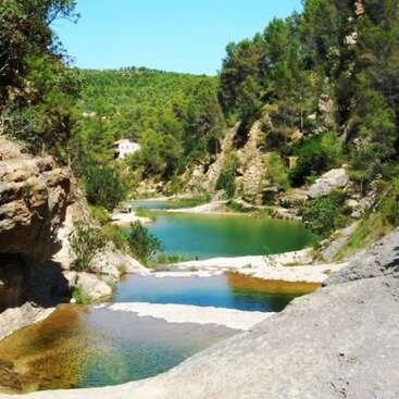 La imagen representa un entorno natural sereno, con un río de exuberante vegetación y un cielo despejado, que evoca una sensación de tranquilidad y sosiego. Es probable que se trate de un parque o una reserva natural.