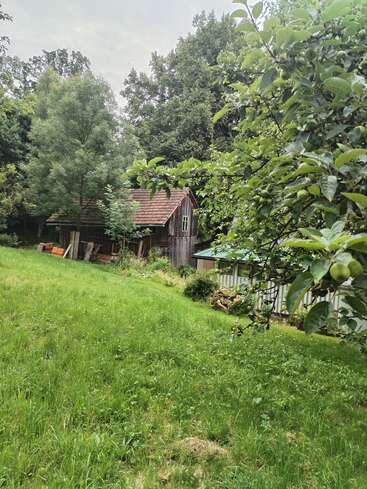 Eine rustikale Holzhütte steht inmitten von hohen Bäumen und üppigem Grün. Ein Apfelbaum mit unreifen Früchten steht im Vordergrund, und der Hof sieht friedlich aus.