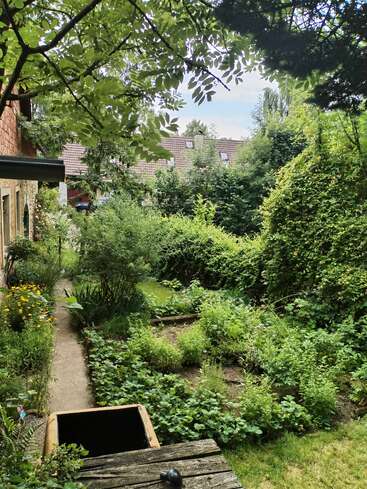 This image shows a lush, green garden with abundant plants, a stone path, a rustic house to the left, and neighboring rooftops visible in the background.