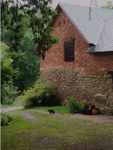 A rustic brick house with a stone foundation sits beside lush greenery. A small black cat walks across the grassy path, and potted flowers add charm.