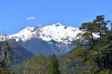 Snow-capped mountains dominate the background under a bright blue sky. Lush green forests and tall trees fill the foreground, creating a beautiful and tranquil natural landscape.