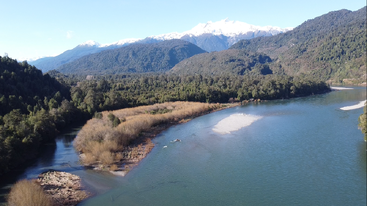 A wide river winds through dense green forests, bordered by hills. Snow-capped mountains stand majestically in the background beneath a clear blue sky. Peaceful scenery.