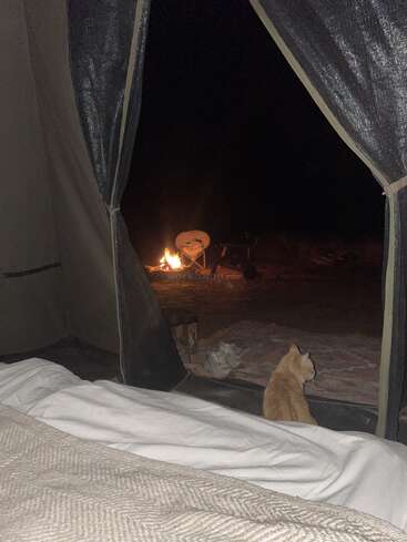 Uma cena de acampamento aconchegante é visível de dentro de uma barraca, com um gato ruivo, uma fogueira, uma cadeira dobrável, um cobertor e sapatos sob o céu noturno.