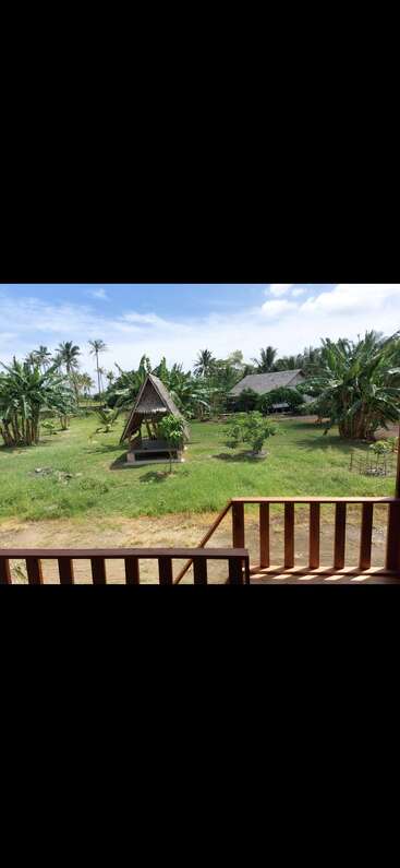 A serene tropical landscape with lush green grass, banana trees, palm trees, a wooden gazebo hut, a house in the background, and bright blue sky.