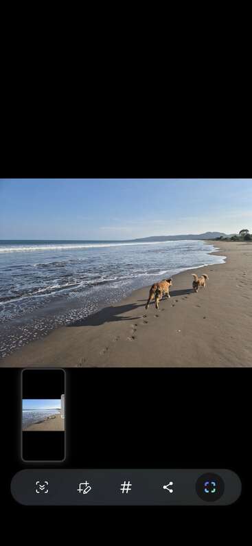 Two dogs joyfully run along a peaceful sandy beach, leaving paw prints behind them. Gentle waves, blue sky, and distant hills create a serene atmosphere.