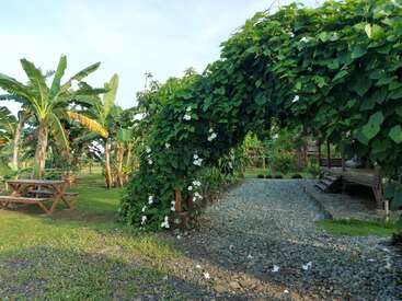 A lush garden features a vine-covered archway with white flowers, gravel path, wooden picnic tables, banana trees, greenery, and a peaceful, natural atmosphere throughout.