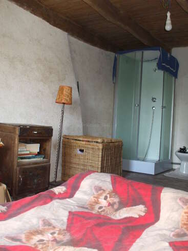 A cozy rustic bedroom with wooden ceiling, wicker laundry basket, shower, vintage lamp, bedside table with books, and a cat-themed blanket covering the bed.