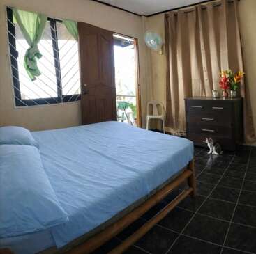 This cozy bedroom features a blue-sheeted bed, wooden furniture, a dresser with flowers, a fan, brown curtains, a window, a cat, and natural light.
