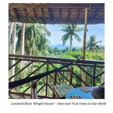 A tropical veranda with hammock and rustic furniture overlooks lush fruit trees, swaying palm trees, and distant blue sea, with Isla Verde visible on the horizon.
