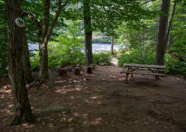 A peaceful forest campsite features a wooden picnic table, rustic log stools, and a fire ring near a river, surrounded by tall trees and lush greenery.