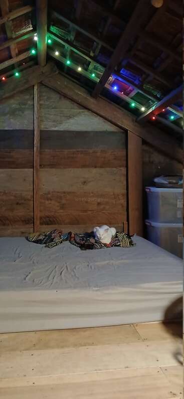 This cozy attic room features wooden walls, colorful string lights on the ceiling, a simple bed with a blanket, and a white cat resting peacefully.