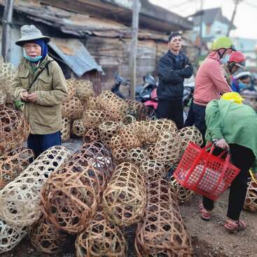 The image depicts a group of people gathered around a collection of woven baskets, with a red plastic basket held by a person in the foreground.