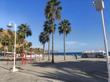 De grands palmiers bordent une plage de sable sous un ciel bleu clair. Des gens se détendent près de l'océan, avec des équipements d'aire de jeux et des étals de plage à proximité. Scène paisible et ensoleillée.