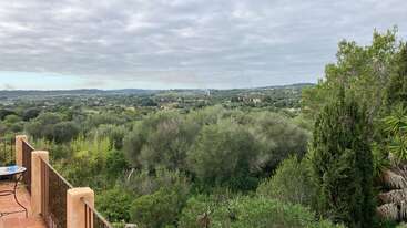 Esta imagen muestra un paisaje verde y exuberante con árboles y arbustos densos. A la izquierda se ve un patio con barandilla, bajo un cielo nublado.
