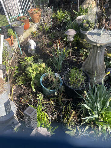 Um pequeno jardim com vários vasos de plantas, um bebedouro de pedra para pássaros, luzes solares, vegetação, uma cerca e uma estátua branca de jardim visível sob a luz forte do sol.