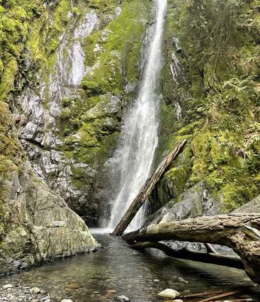 Uma cachoeira alta e estreita desce por penhascos rochosos cobertos de musgo até uma piscina tranquila lá embaixo. Troncos caídos repousam na água; uma vegetação verdejante circunda o cenário.