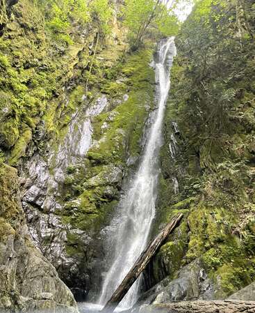 Uma cachoeira alta e estreita desce por penhascos rochosos cobertos de musgo, rodeados por uma vegetação exuberante, com um tronco caído encostado na base da cachoeira, criando uma cena serena.