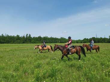Trois personnes traversent à cheval un champ verdoyant sous un ciel bleu clair, profitant d'une journée ensoleillée en plein air. Des arbres bordent l'arrière-plan, renforçant la tranquillité.