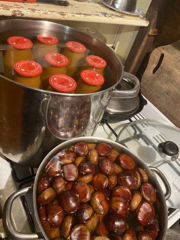 Duas panelas grandes no fogão: uma fervendo potes com tampas vermelhas, provavelmente conservas, e a outra cozinhando castanhas inteiras na água; cena de cozinha.