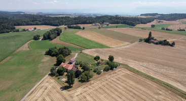 Cette vue aérienne montre un paysage rural composé de champs en mosaïque, de fermes, d'arbres, de routes sinueuses et de forêts au loin, sous un ciel dégagé, évoquant la sérénité paisible de la campagne.