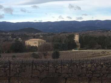 L'image représente un paysage serein composé d'un vignoble, d'un bâtiment en tôle et d'une tour, avec en toile de fond une chaîne de montagnes sous un ciel nuageux.