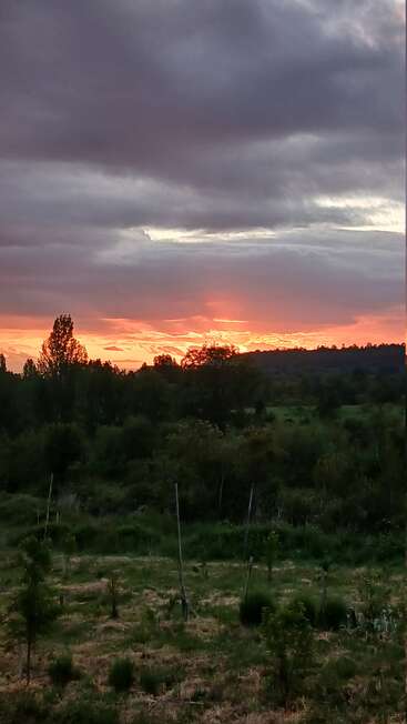 Un coucher de soleil spectaculaire illumine le ciel d'un orange vibrant sous d'épais nuages sombres. Des silhouettes d'arbres et un champ verdoyant complètent ce paysage serein.