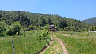 Une petite cabane en bois se trouve au milieu de champs verdoyants, entourée d'arbres et de collines. Un étroit chemin de terre mène à la maison sous un ciel bleu limpide.