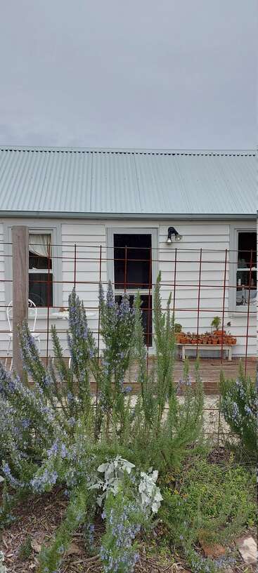 The image depicts a serene outdoor scene featuring a row of plants or trees, with a building\'s facade visible in the background, evoking a sense of tranquility and natural beauty.