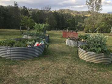 L'image représente un jardin serein avec des parterres surélevés remplis de verdure luxuriante, sur fond pittoresque d'arbres et de ciel nuageux.