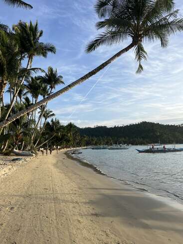 The image depicts a serene beach scene with palm trees, boats, and people strolling along the shore, set against a backdrop of a lush forest and a blue sky with wispy clouds.